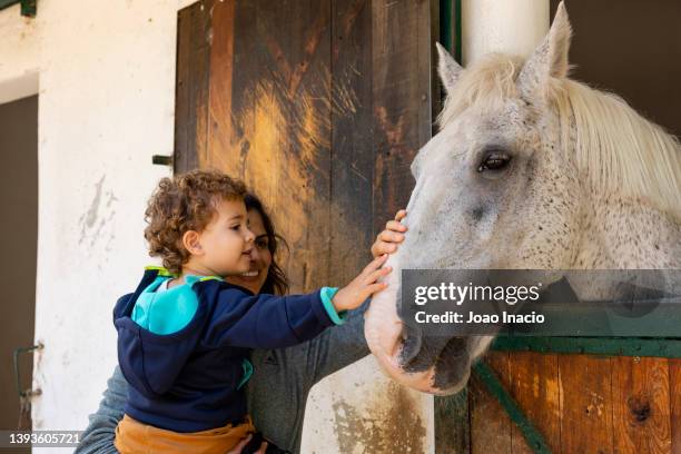 mother and son patting a horse - child horse stock pictures, royalty-free photos & images