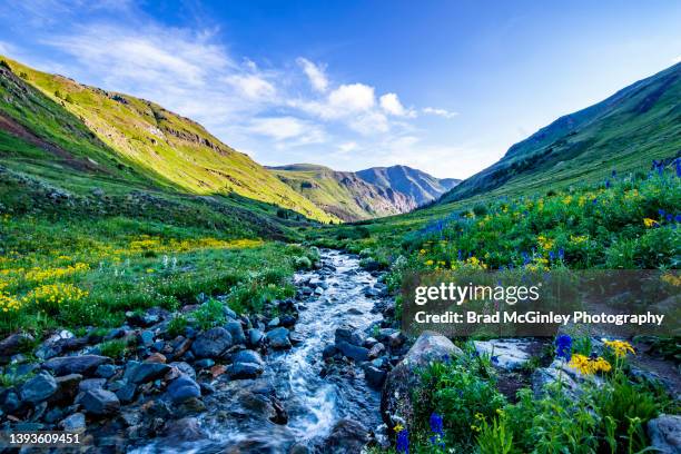 american basin colrado - meadow brook imagens e fotografias de stock