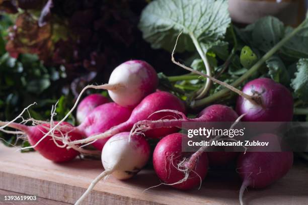 a bunch of bright fresh radishes with leaves on a cutting board, against the background of a kitchen or dining table. next to the jars with crushed spices. growing organic vegetables and fruits at home. harvesting, cooking. vegetarian, vegan and raw food. - crushed leaves stock-fotos und bilder