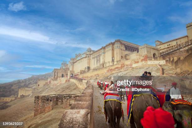 passeio elefante no forte âmbar - amber fort - fotografias e filmes do acervo