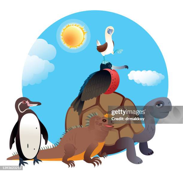 ilustrações de stock, clip art, desenhos animados e ícones de galapagos animals - galapagos islands