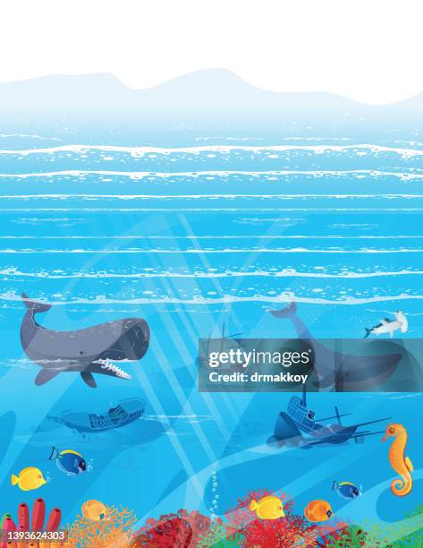 stockillustraties, clipart, cartoons en iconen met undersea and sea creatures - angelfish