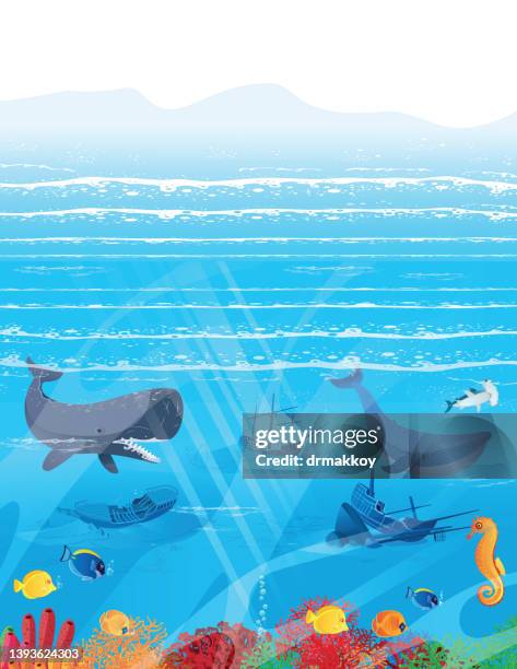 undersea and sea creatures - shipwreck vector stock illustrations