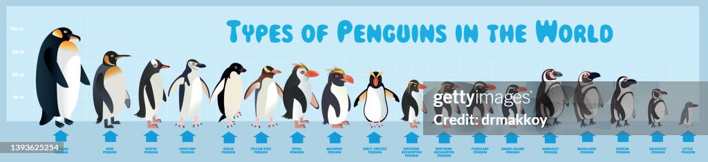 Types Penguins in the World