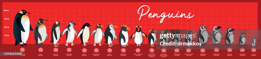 Types Penguins in the World