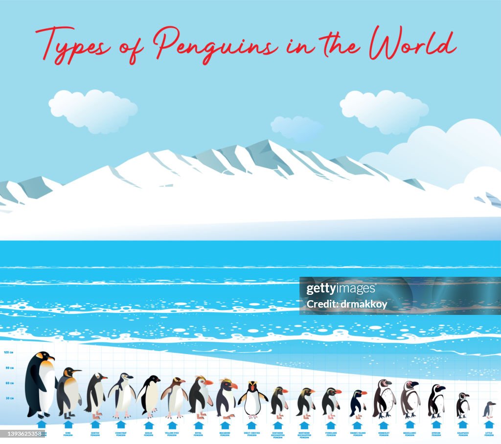 Penguins and Antarctica