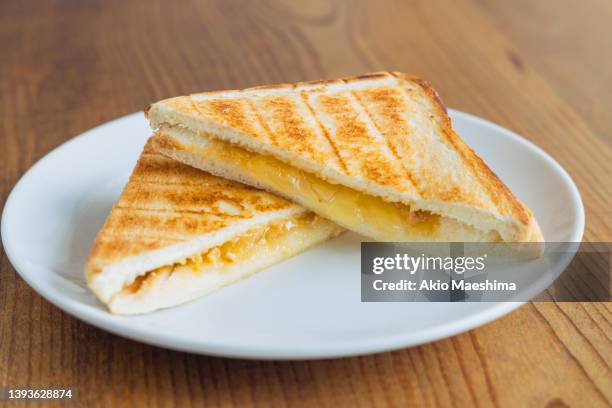 toasted sliced cheese sandwich on a plate - tosti stockfoto's en -beelden