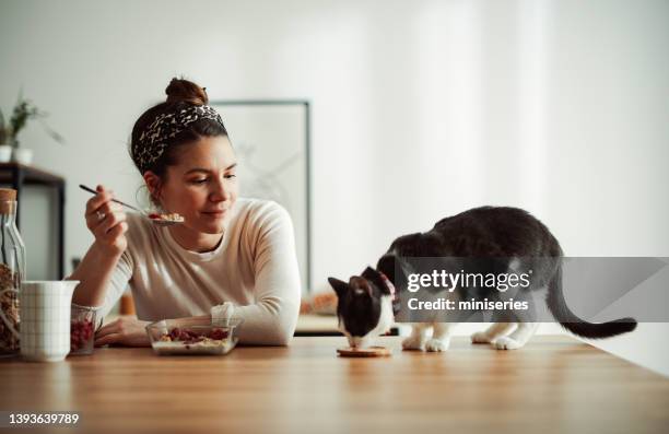 beautiful woman having breakfast with her cat - cat family stock pictures, royalty-free photos & images