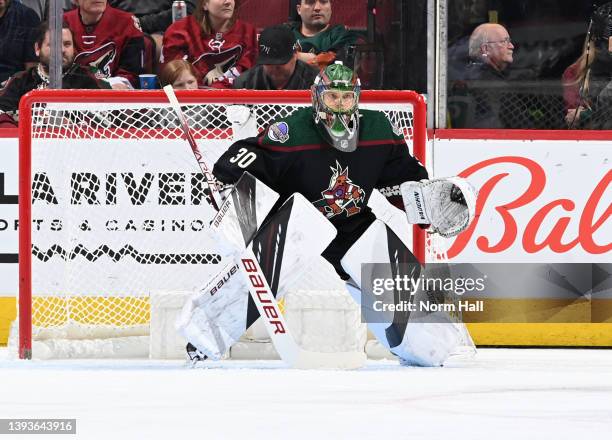 Harri Sateri of the Arizona Coyotes gets ready to make a save against the St Louis Blues at Gila River Arena on April 23, 2022 in Glendale, Arizona.
