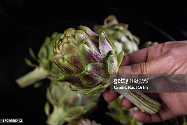 closeup view of man hand holding fresh ripe artichoke against black background with vegetables - estudio de mercado fotografías e imágenes de stock
