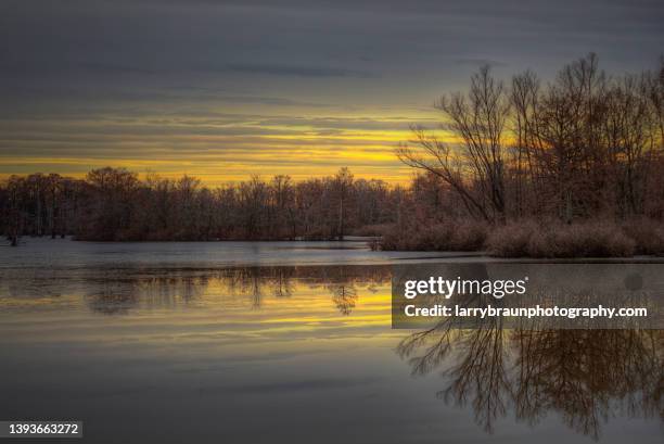 winter evening on horseshoe lake - illinois stock pictures, royalty-free photos & images