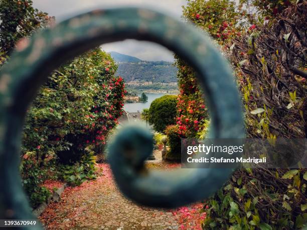 spiral iron gate and ornamental garden, point of view - piedmont italy stockfoto's en -beelden