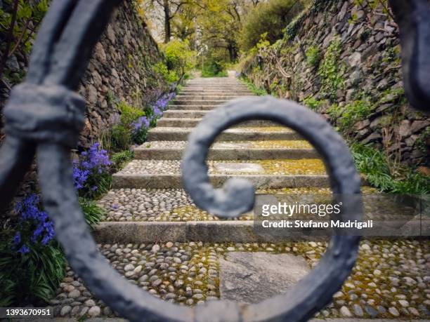 spiral iron gate and ornamental garden, point of view - leaves spiral stock pictures, royalty-free photos & images