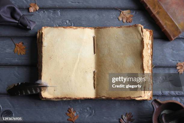 old blank book - artifact stock pictures, royalty-free photos & images