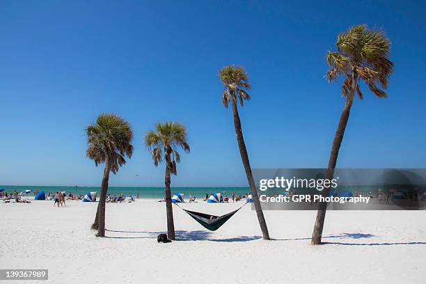 beach hammock - clearwater beach fotografías e imágenes de stock