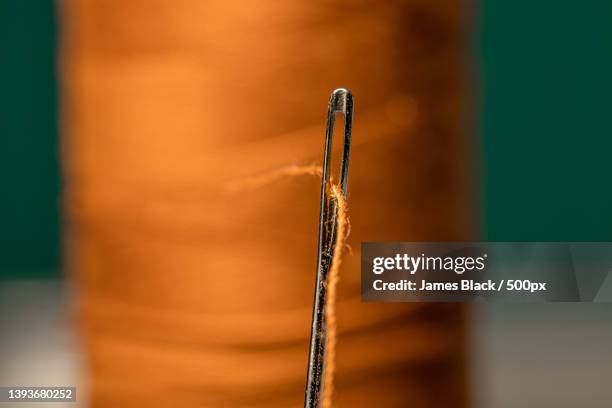Threading The Needle Threading A Needle Closeup Photos and Premium High Res Pictures - Getty ...