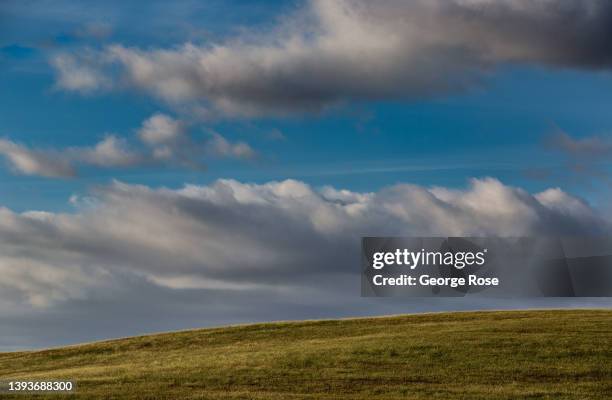 Though the Central Coast region of California has received very little rain and the extreme and exceptional drought heads into a third year, a...