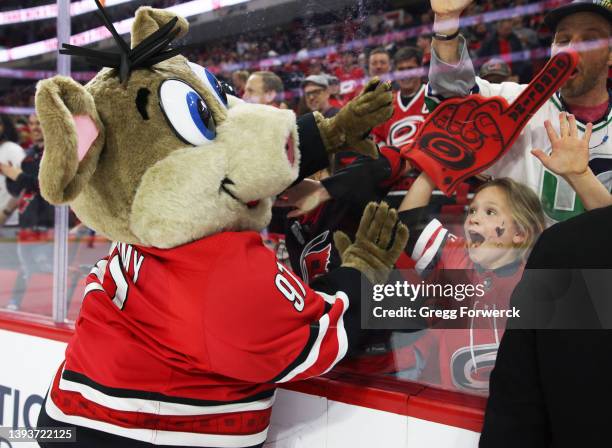 Stormy the team mascot of the Carolina Hurricanes interacts with fans on the glass during an NHL game against the Winnipeg Jets on April 21, 2022 at...