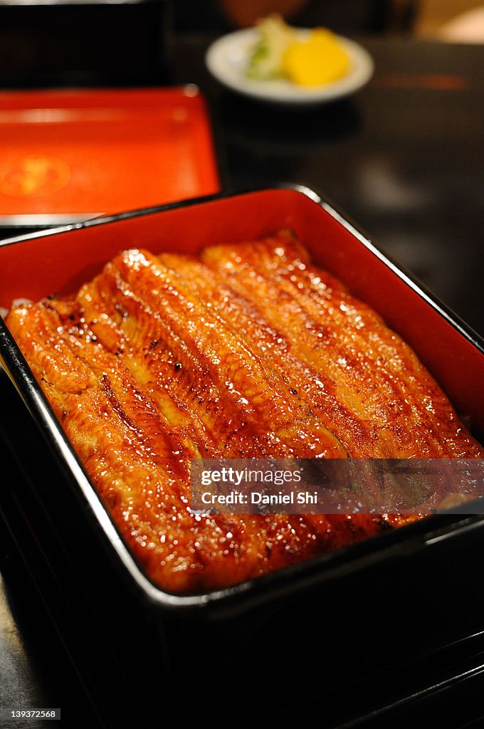 Kabayaki-don (una-don), Japanese unagi cuisine.