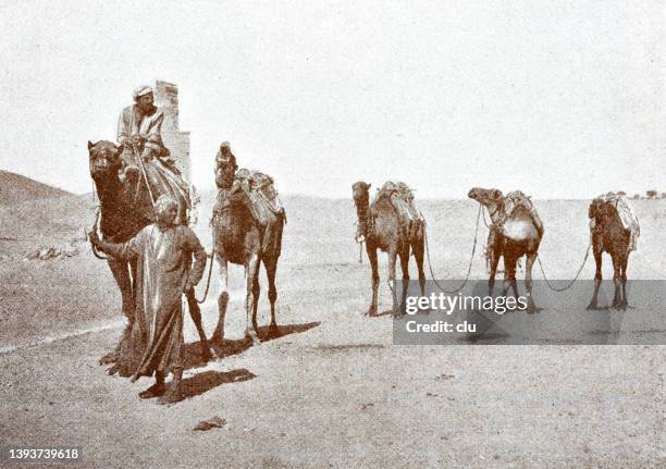 ilustraciones, imágenes clip art, dibujos animados e iconos de stock de convoy de camellos en el desierto - camello