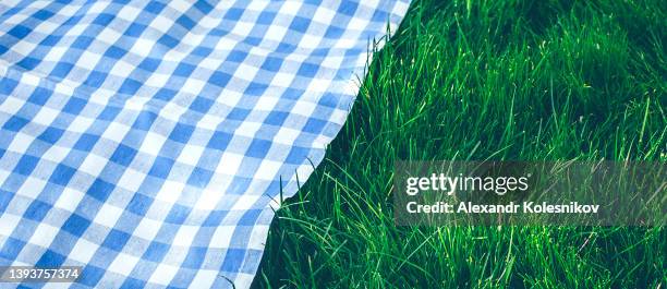 traditional blue checked pattern plaid. empty picnic blanket background. place for desing, object - レジャーシート ストックフォトと画像