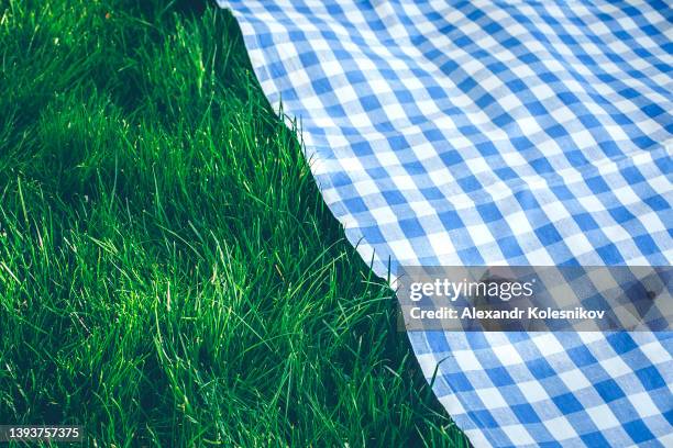 traditional blue checked pattern plaid. empty picnic blanket background. place for desing, object - tablecloth background stock pictures, royalty-free photos & images