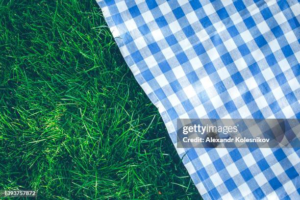 traditional blue checked pattern plaid. empty picnic blanket background. place for desing, object - table de pique nique photos et images de collection