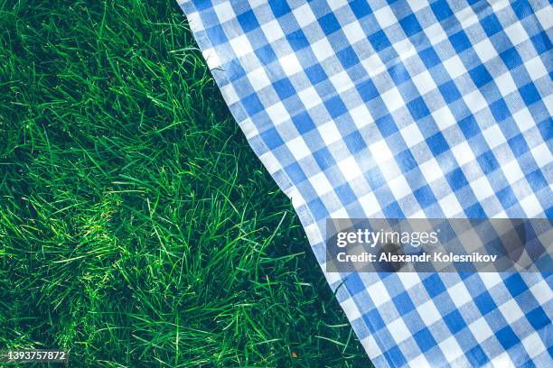 traditional blue checked pattern plaid. empty picnic blanket background. place for desing, object - picnic table stockfoto's en -beelden