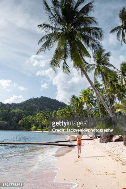 a young woman standing and looking at the sea and palm beach tree, koh chang,trat province, thailand - krabi province stock-fotos und bilder