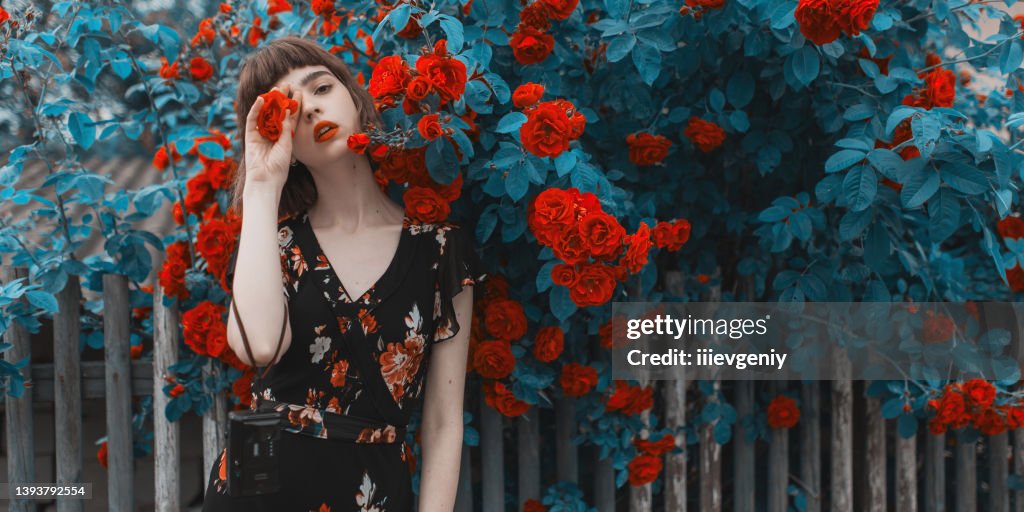 Redhead model on background of roses bush. Fabulous asian girl with red lips in dress on awesome summer background. Rose garden. Woman portrait. Blue toning. Cyan color. Spring flowers. Bob hairstyle