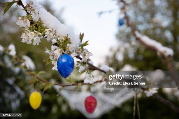 Spring Easter Snow Easter Snow Photos and Premium High Res Pictures - Getty Images