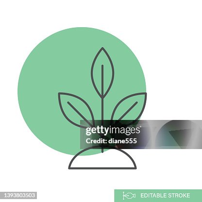 Sapling - Environment Thin Line Icon Sapling - Environment Thin Line Icon