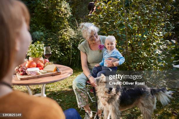 grandmother with grandson and dog in garden - multi generational family with pet stock pictures, royalty-free photos & images