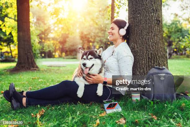 dog walker with siberian husky in the park - audio book stock pictures, royalty-free photos & images