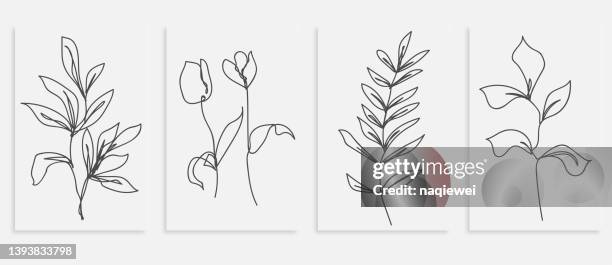 vektor handgefertigte eine linie zeichnung blätter und blumendrucke set botanisches laub poster moderne einzeilige kunst ästhetische vorlage banner hintergründe - gräser stock-grafiken, -clipart, -cartoons und -symbole