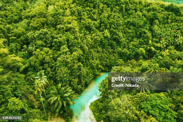 beautiful river passing through in the jungle - island of siquijor stock pictures, royalty-free photos & images