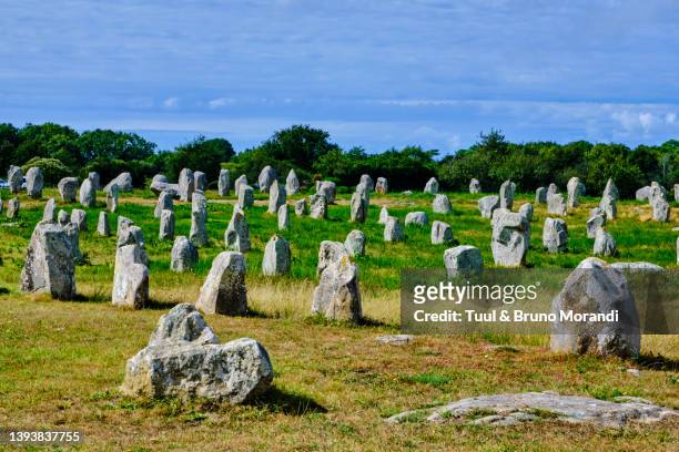 france, morbihan, carnac, megalithic alignment of kermario - doelman stock pictures, royalty-free photos & images