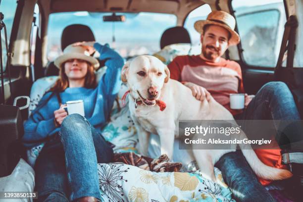 happy family relaxing in the back seat of the car with their dog - couple lifestyle jean stock pictures, royalty-free photos & images