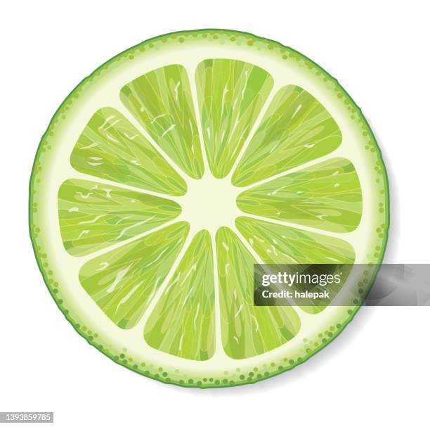 lime - lime stock illustrations