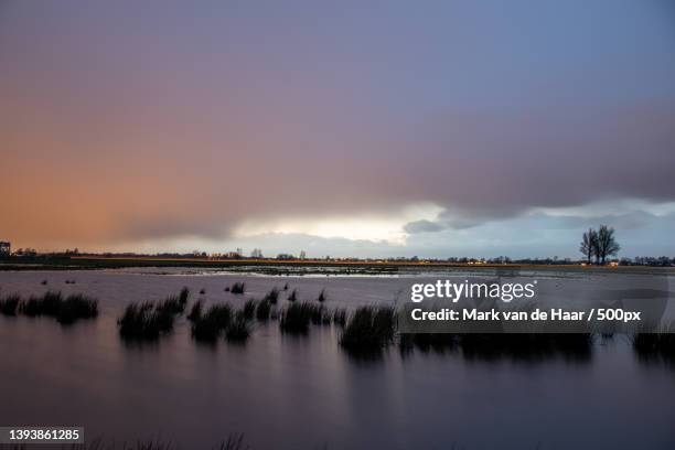 binnenveld at sundown bluelight hour,scenic view of lake against sky at sunset - binnenveld stock pictures, royalty-free photos & images