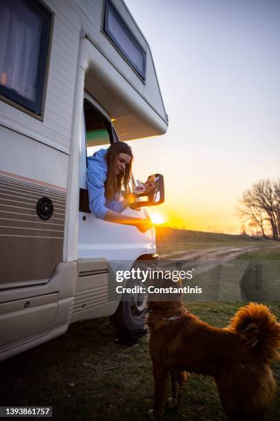 fröhliche frau, die mit dem hund aus dem wohnmobil spielt - personentransporter stock-fotos und bilder