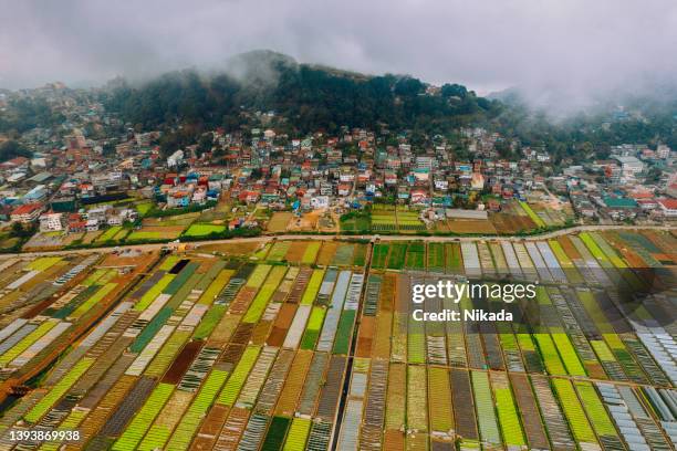 aerial view of vegetable farms in baguio city philippines - philippines stockfoto's en -beelden