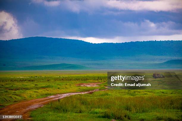 grassland plains in ngorongoro crater conservation area, tanzania - ngorongoro foto e immagini stock