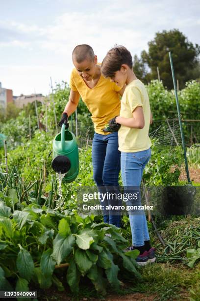 woman showing her daughter how to water the plants while working together in an urban garden. - water conservation fotografías e imágenes de stock