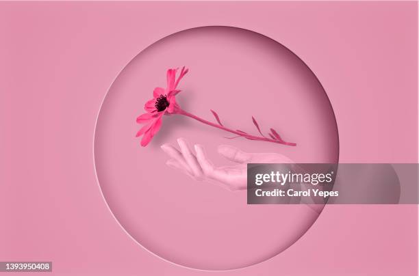 female hand with  pink flower on air.digitally generated.conceptual - digital composite stock pictures, royalty-free photos & images