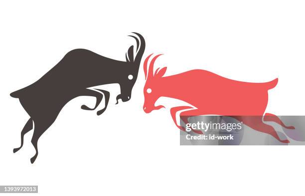 bildbanksillustrationer, clip art samt tecknat material och ikoner med two goats fighting - horned