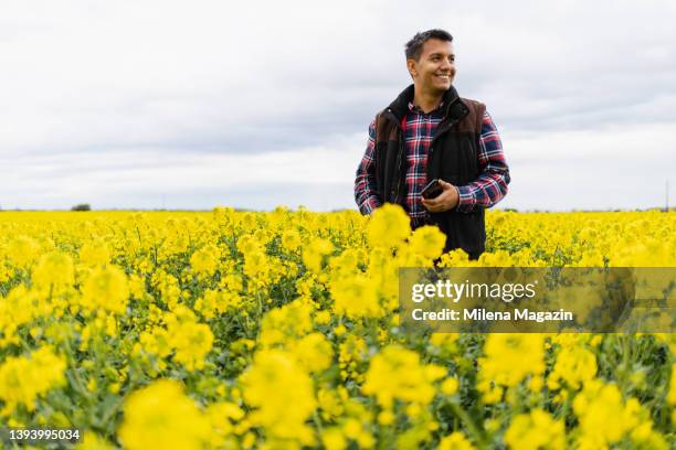ritratto di un giovane contadino che lavora nel campo di colza - colza foto e immagini stock