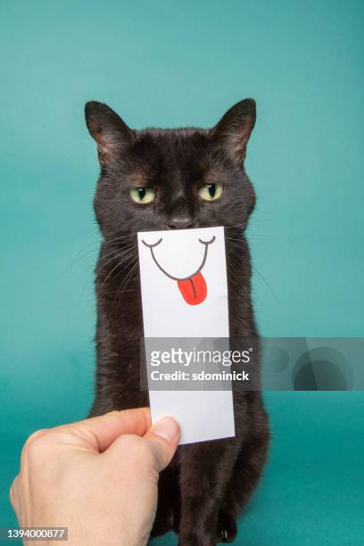 black cat with funny paper face - cat sticking tongue out stock pictures, royalty-free photos & images