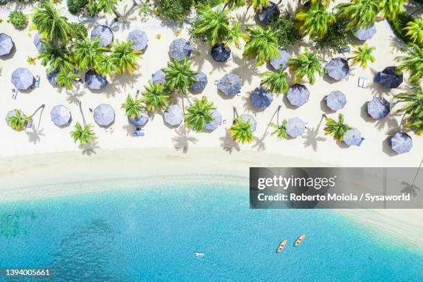 parasols and canoes from above, caribbean sea - antígua ilhas leeward imagens e fotografias de stock
