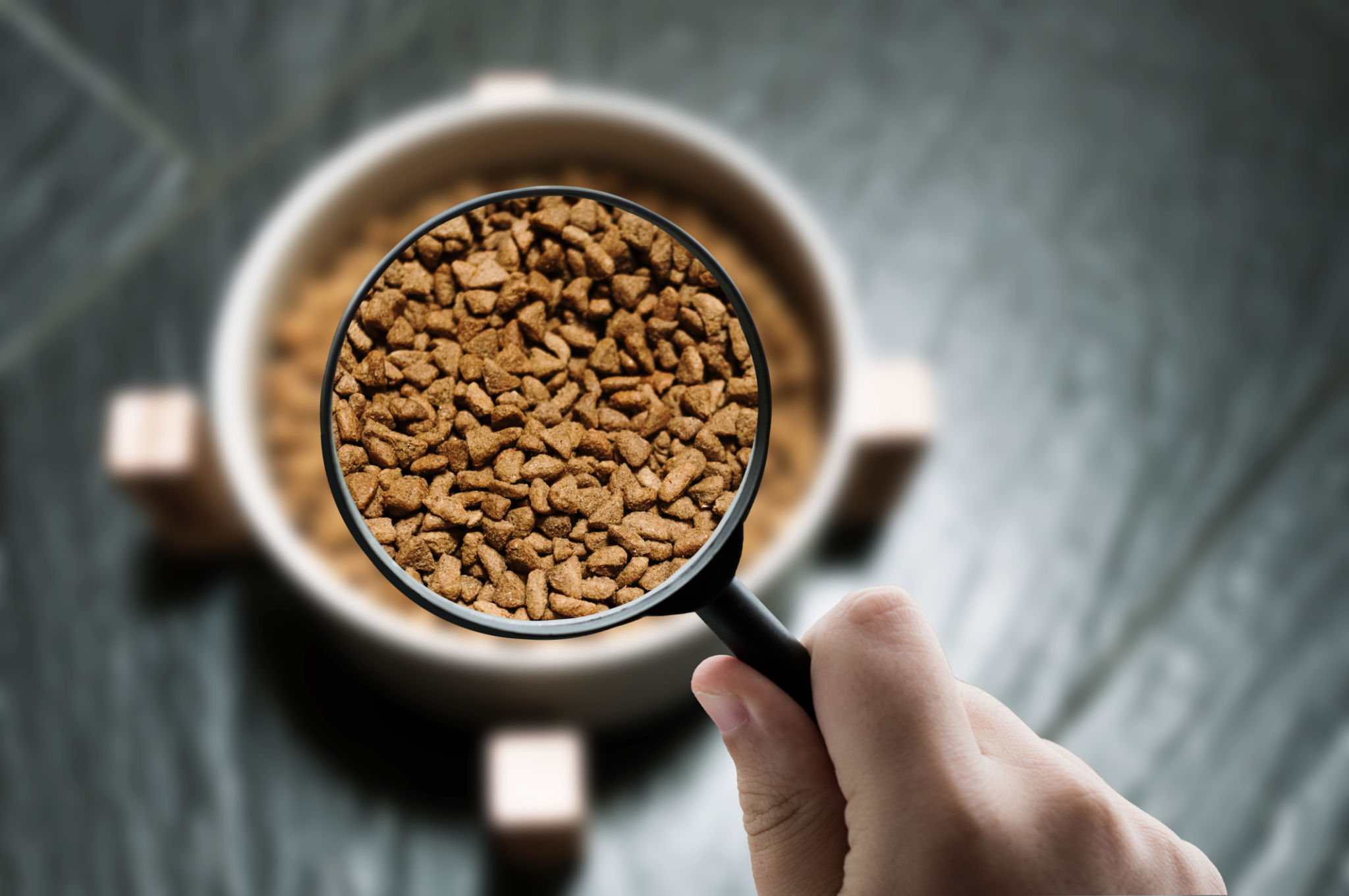 Focusing on pet food Focusing on pet food